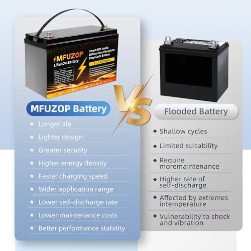 12V 100Ah LiFePO4 Battery with 100A BMS P9308