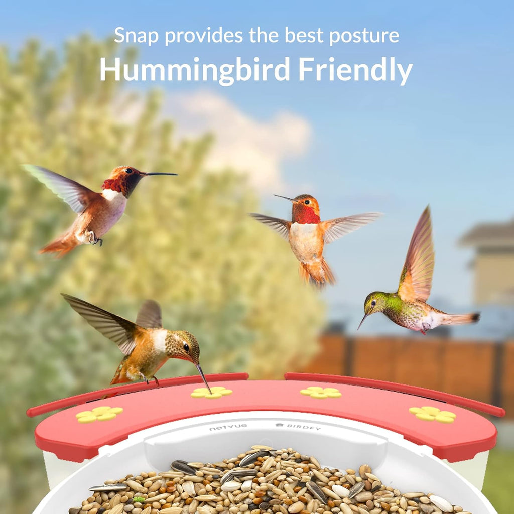 Bird Feeder with Camera K781