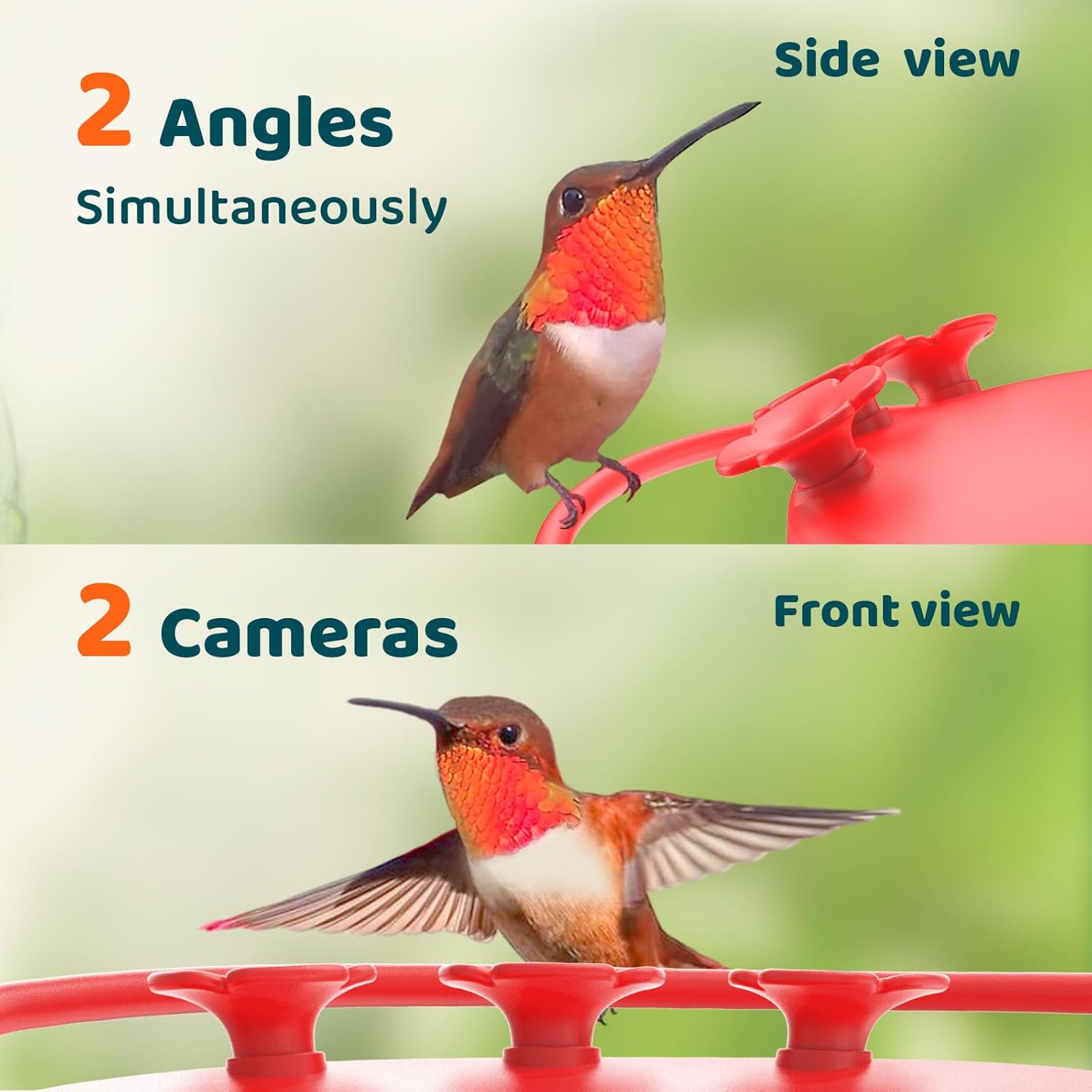 Hummingbird Feeder with Camera, 2K Dual Smart Cameras Solar Powered, 20 Ounces X124