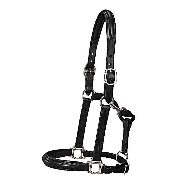 Black/Nickel Padded Halter A13502