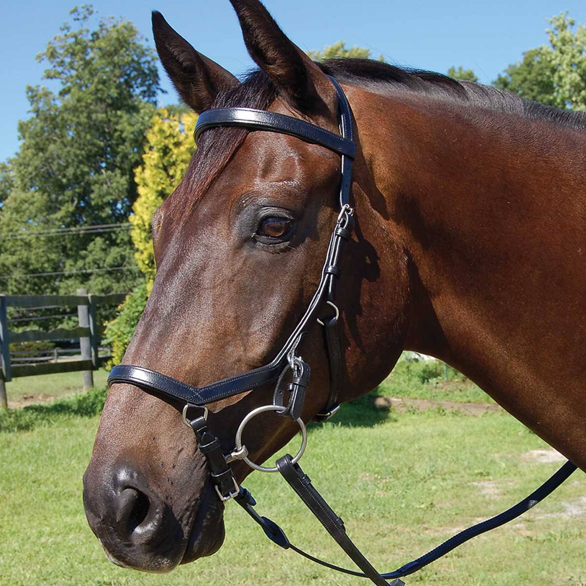 Competition Bridle X32544