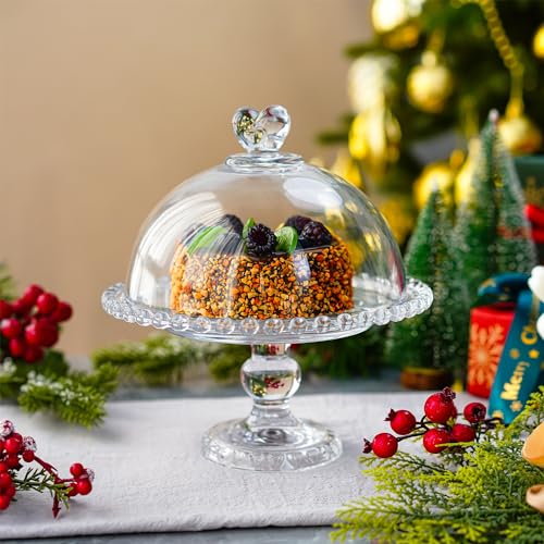 Clear Glass Cake Plate with Dome G574