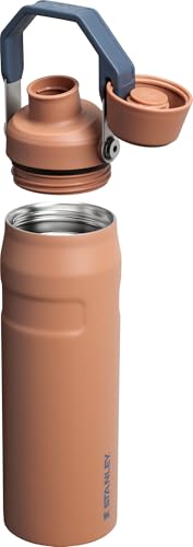 Insulated Stainless Steel Water Bottle with Angled Spout Lid O7037