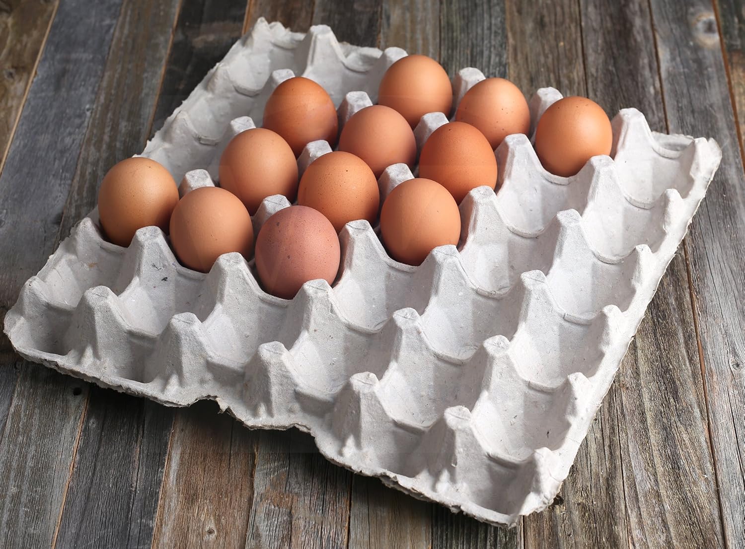 15 Pc Biodegradable Pulp Fiber Egg Cartons M4594