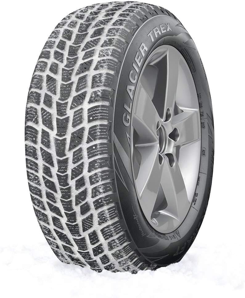 225/60R17 99T Winter Tire X2641