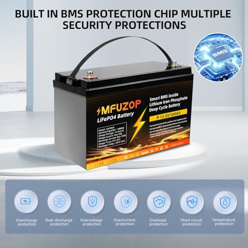 12V 100Ah LiFePO4 Battery with 100A BMS P9308
