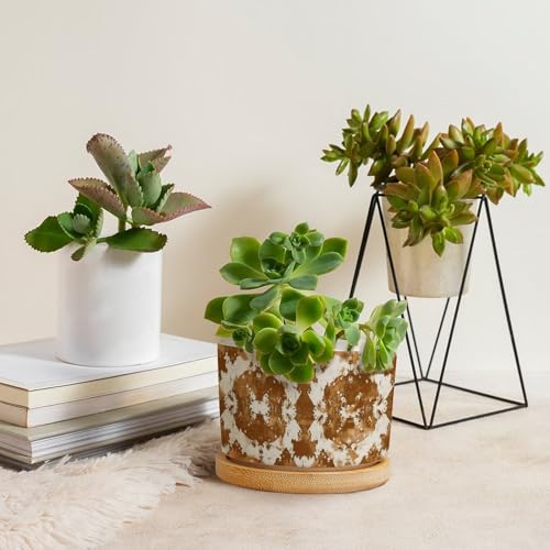 Blue And White Porcelain Ceramic Round Plant Pot with Drainage Holes And Bamboo Tray C9217