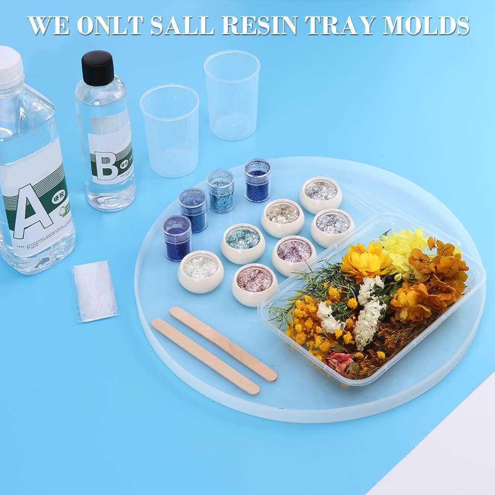 Round 11.8 Inch Silicone Tray Molds M307884