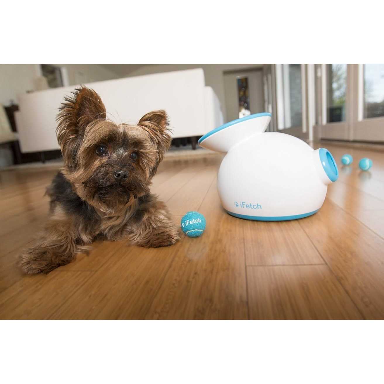 Interactive Dog Ball Launcher F75798