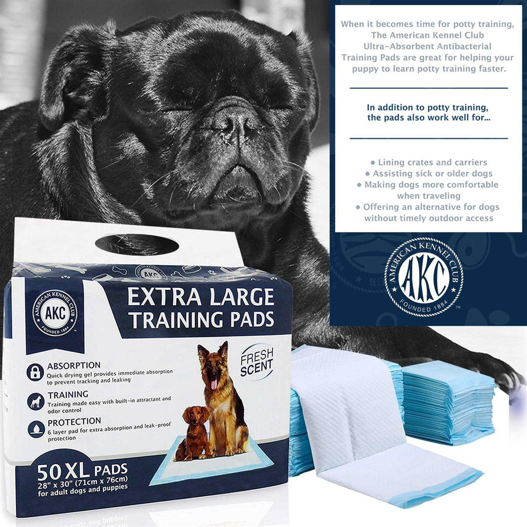 Training Pads C93796