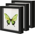 3 Pack Black 8"x8" Deep Wood Glass Shadow Box Set H19732