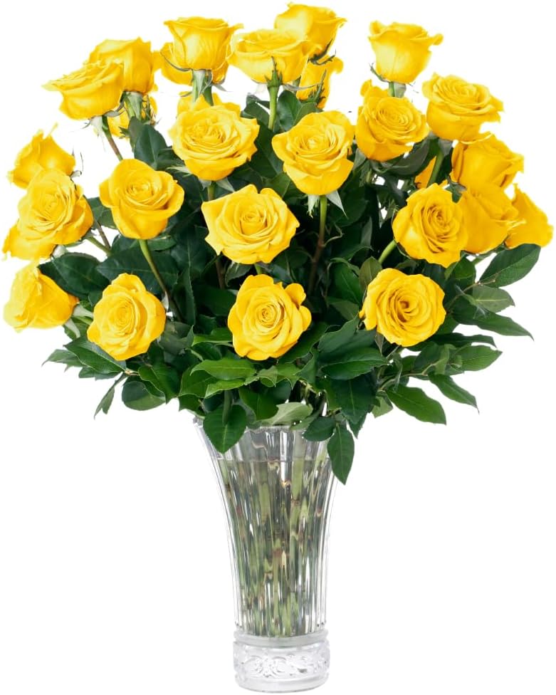 1 Dozen Yellow Roses W590
