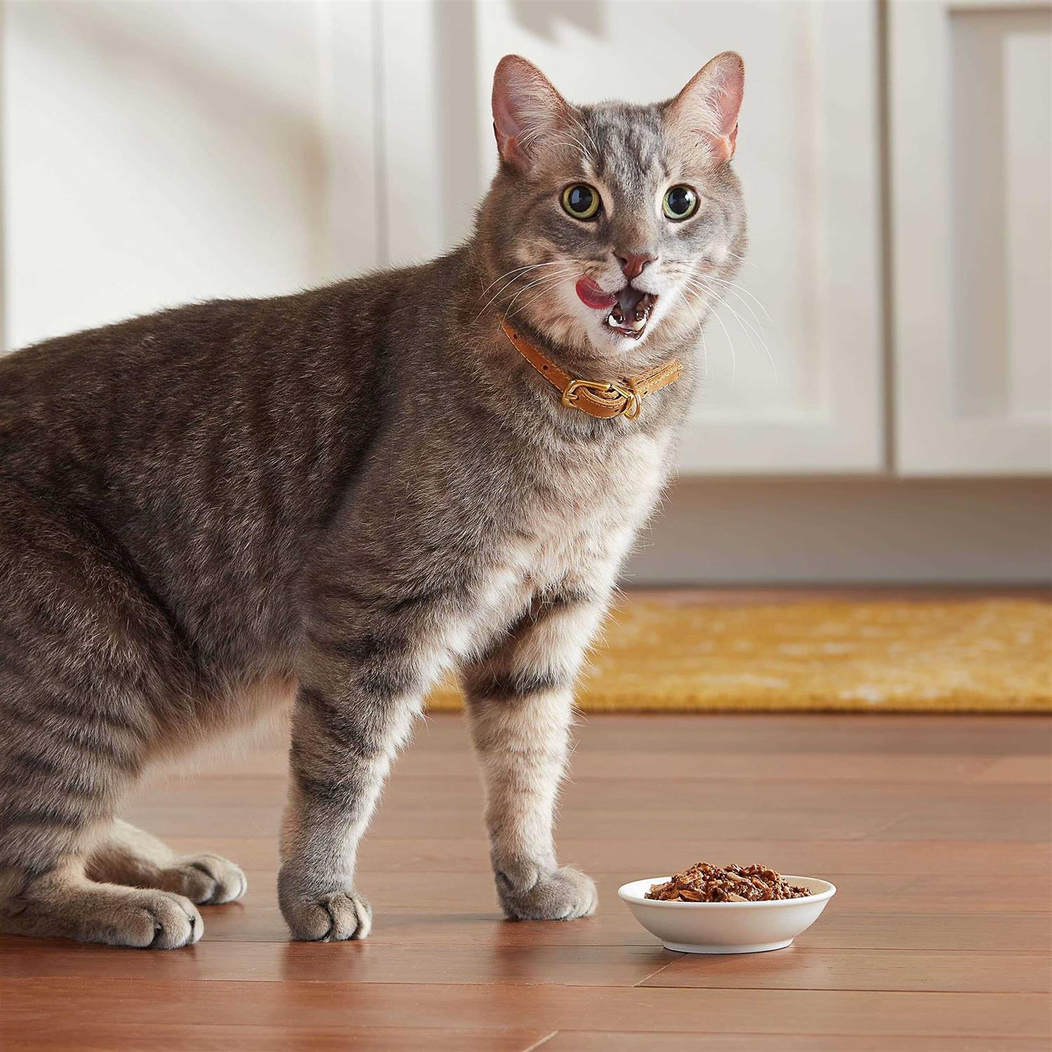 Wet Cat Food M28309