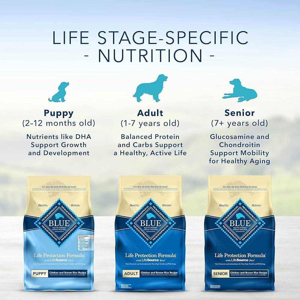 Beef & Brown Rice Adult Dry Dog Food O105