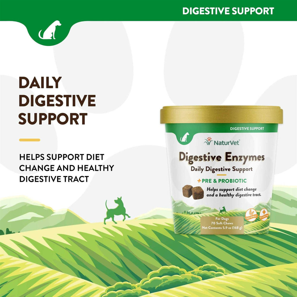 Digestive Enzymes Y769087