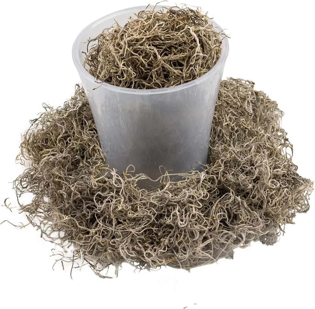 Natural Spanish Moss, 3 Quart Bag U93031