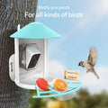 Bird Feeder with Camera K781
