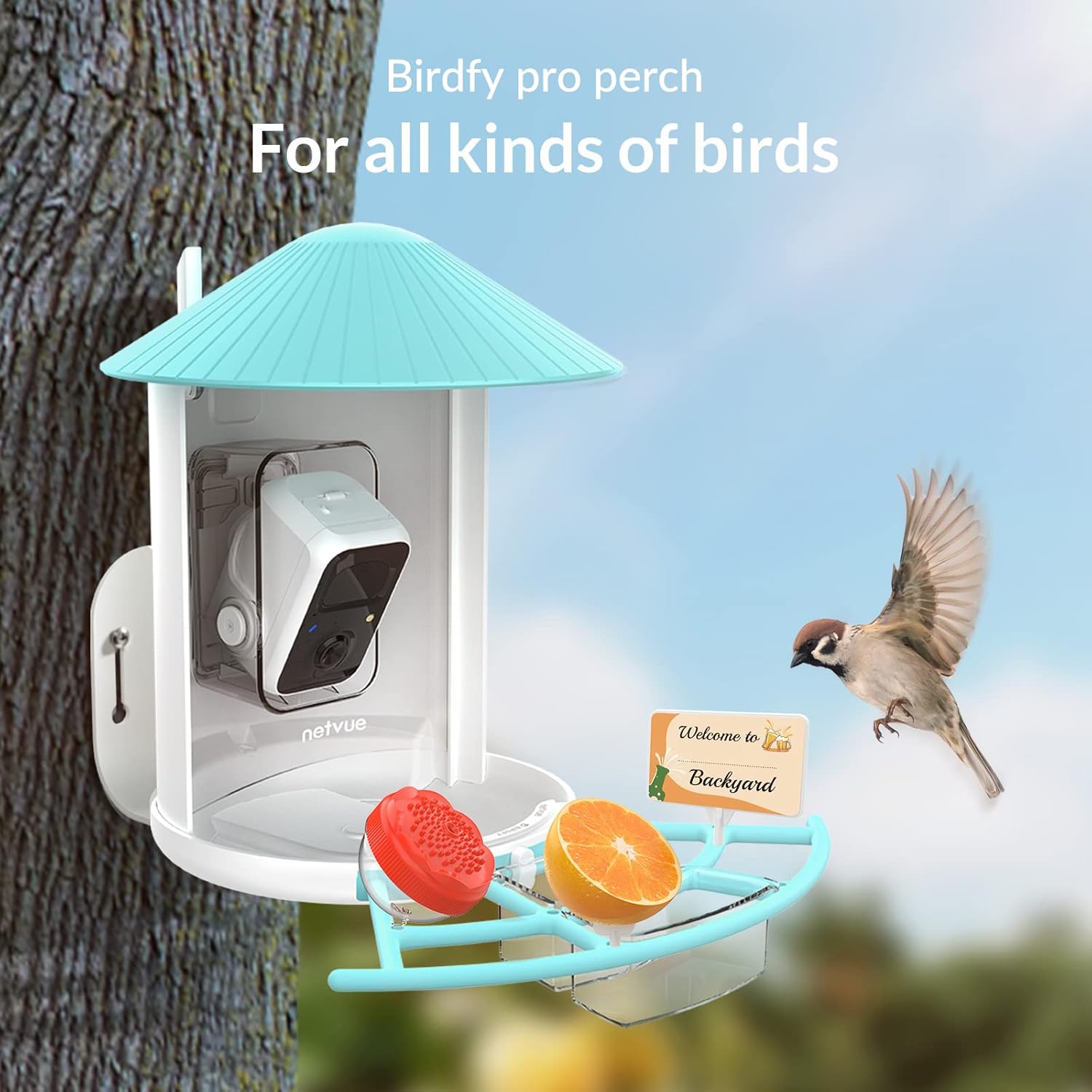 Bird Feeder with Camera K781