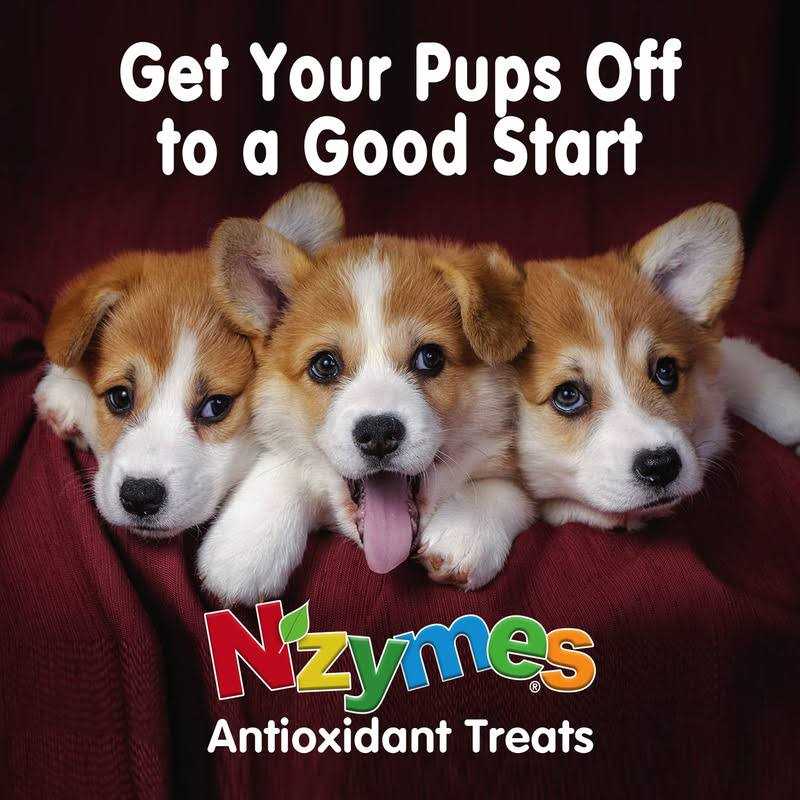 Antioxidant Treats for Pets Y1960