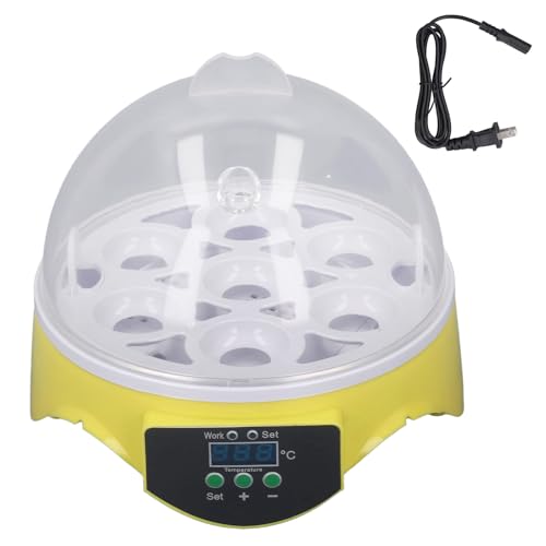 7 Egg Poultry Incubator with Temperature Control R945