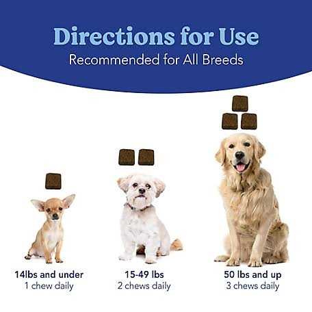 Natural Soft Chews for Dogs C957218