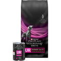 UR Ox/St Urinary Dry Dog Food Z269205