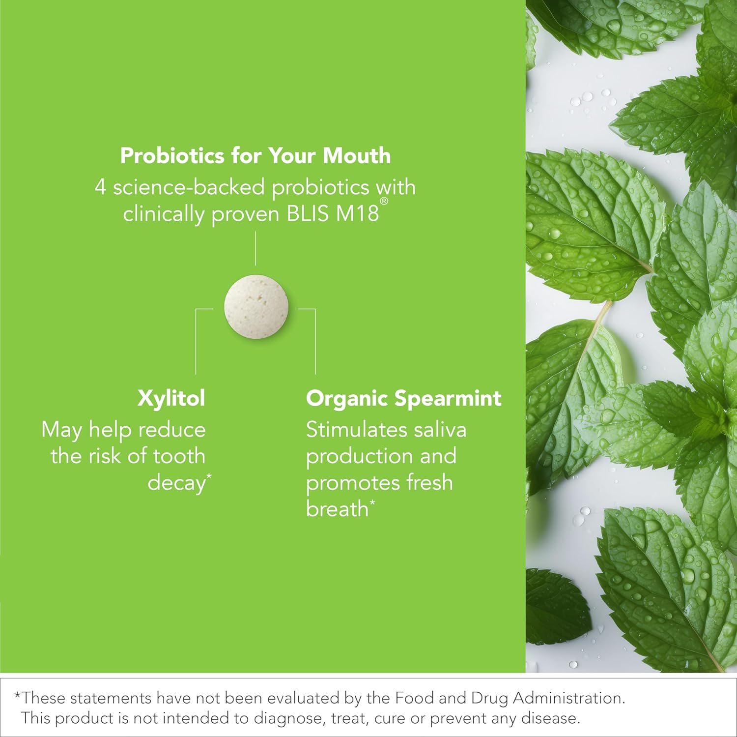Oral Probiotic Tablets Y25530
