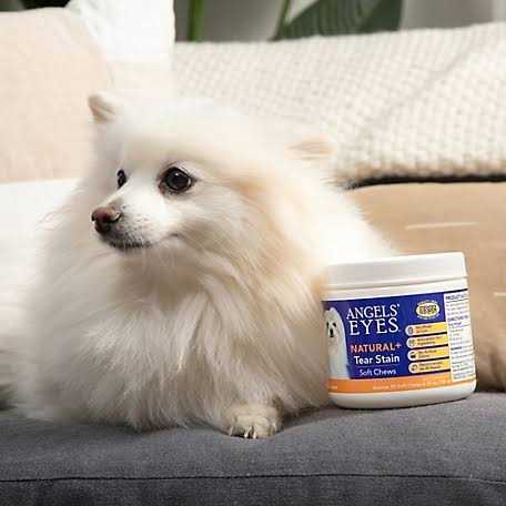 Natural Soft Chews for Dogs C957218
