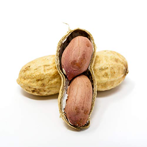 Raw Peanuts in Shell, 2.5 lb I926