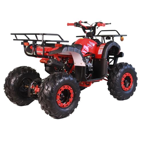 125cc Youth ATV Quad with Remote Control Burgundy R1662