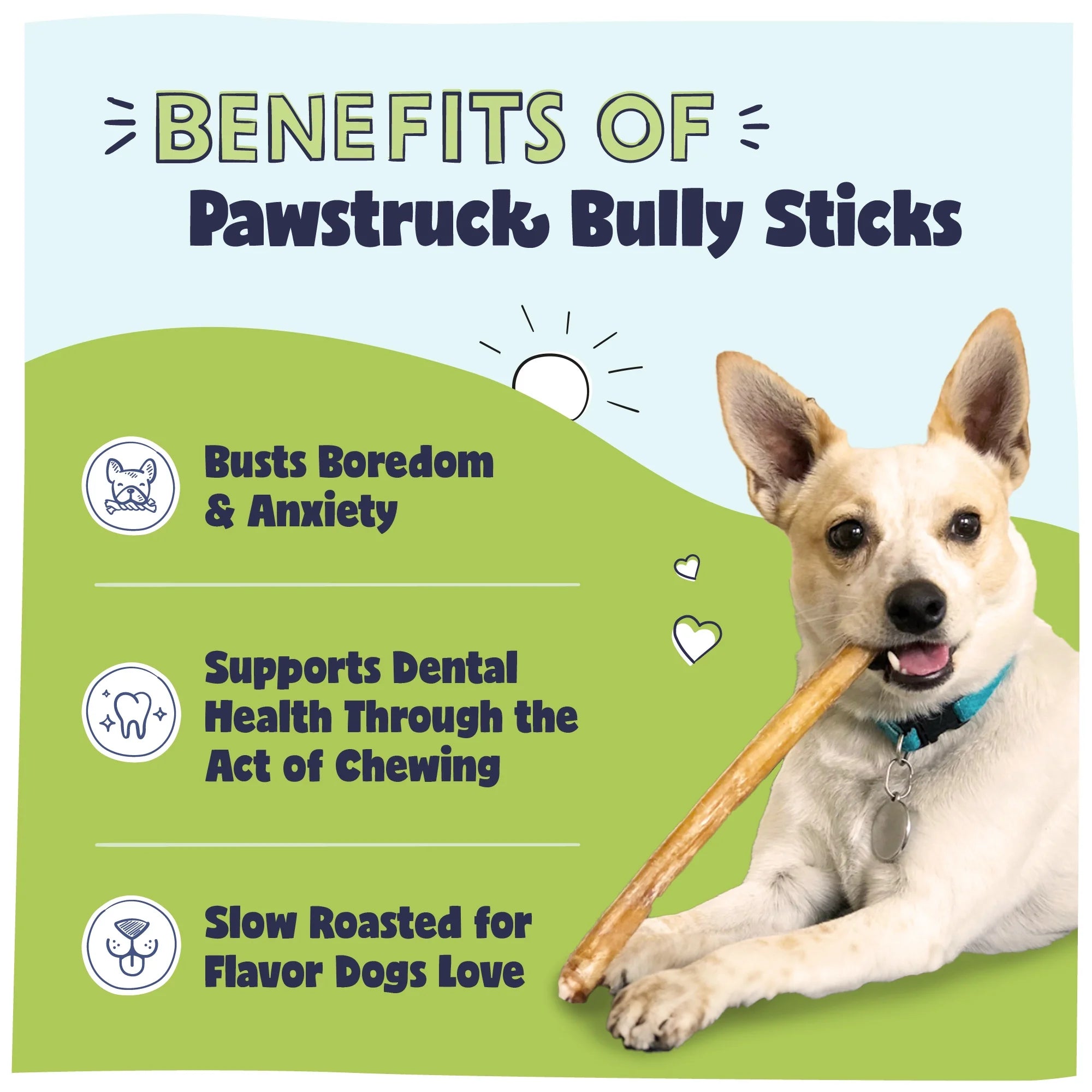 Natural 5-8" Beef Bully Sticks, 8 oz. Bag E78278