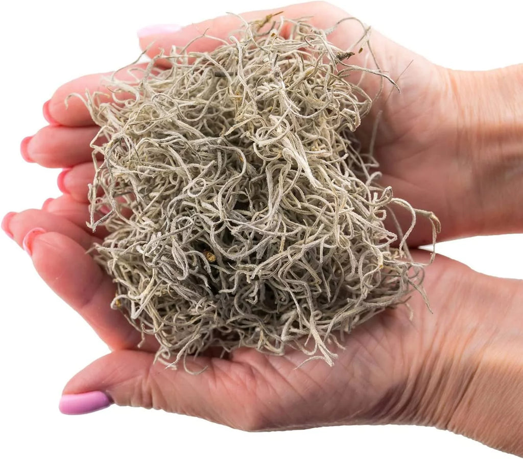 Natural Spanish Moss, 3 Quart Bag U93031