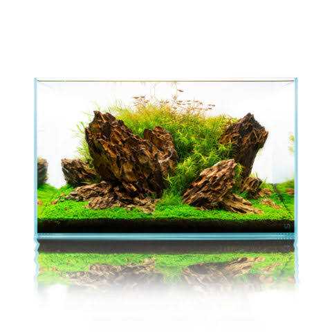 20 Gallon Ultra Clear Rimless Aquarium O2483