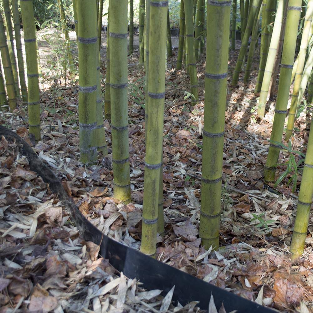 75 Feet Long x 24 inch x 60 Mil Bamboo Root Barrier O5627