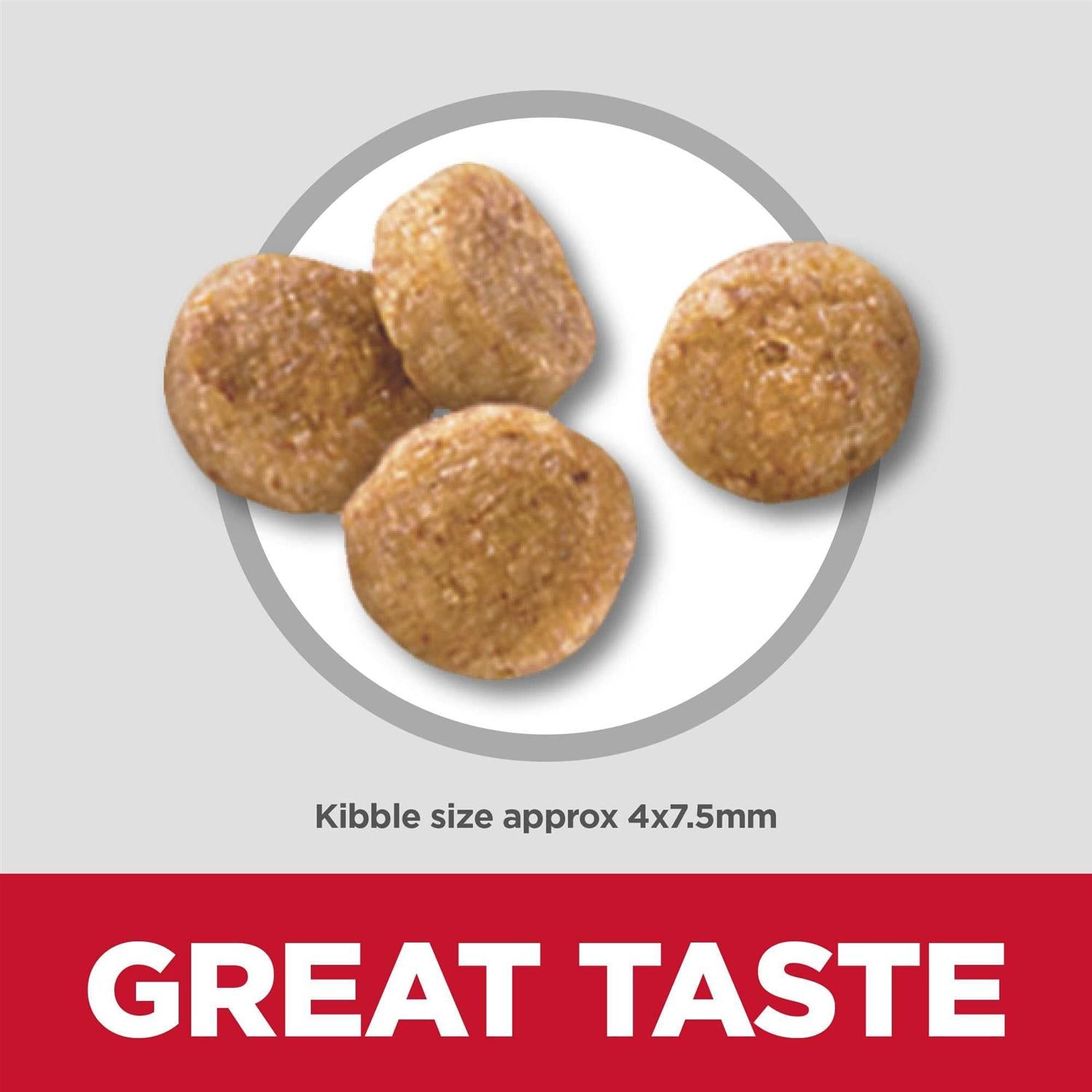 Senior Vitality Small & Mini Chicken & Rice Recipe Dog Food D897