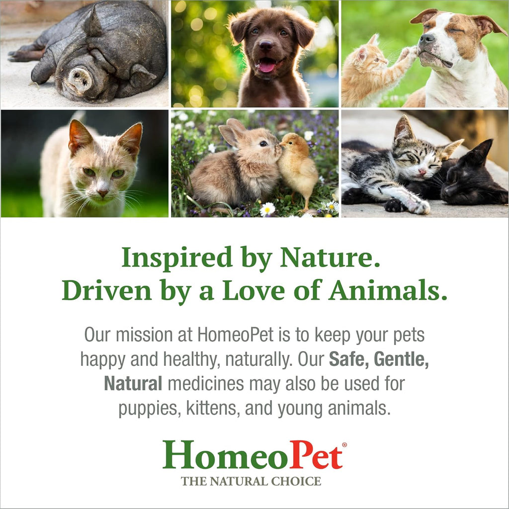 15 Milliliters Natural Pet Digestive Support T36330