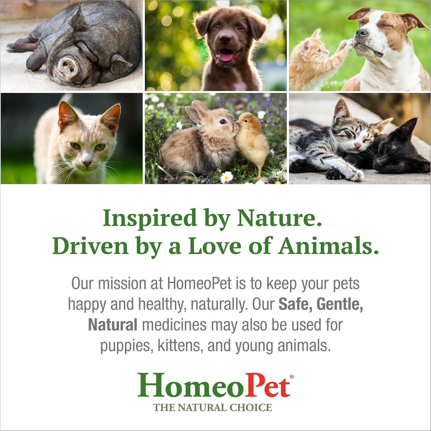 15 Milliliters Natural Pet Digestive Support T36330