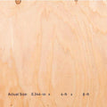 3/8-in x 4-ft x 8-ft Douglas Fir Plywood Sheathing Y802