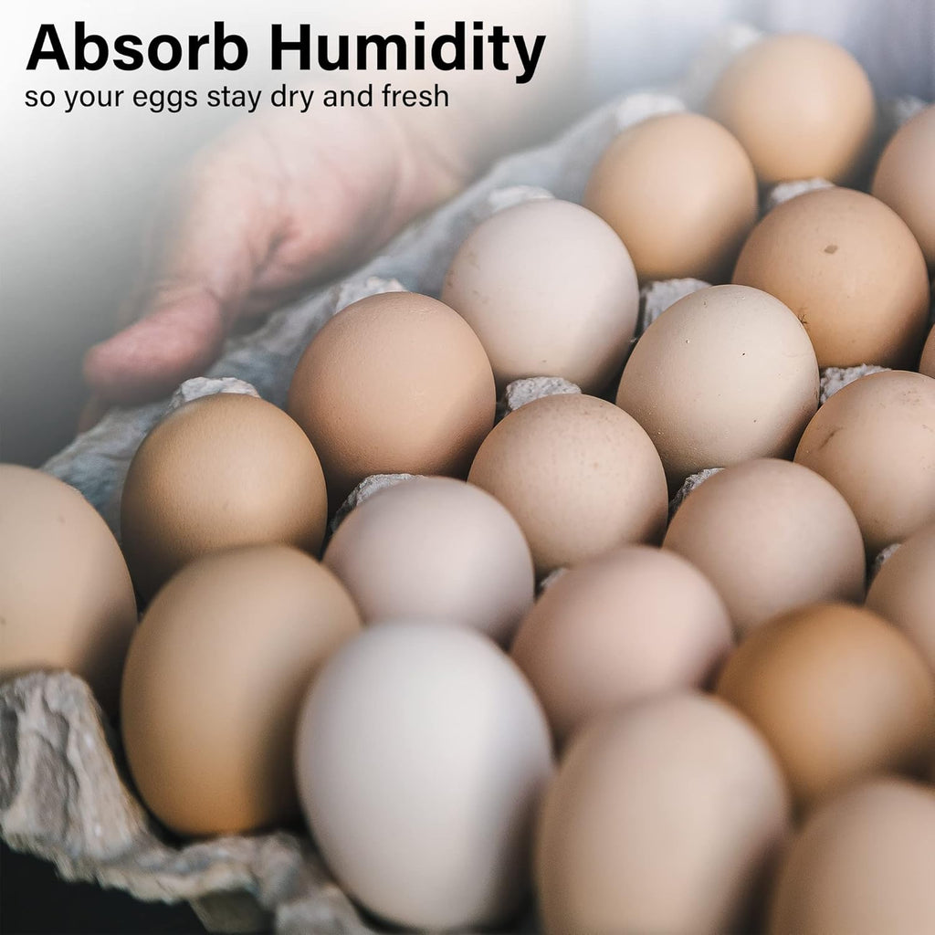 15 Pc Biodegradable Pulp Fiber Egg Cartons M4594