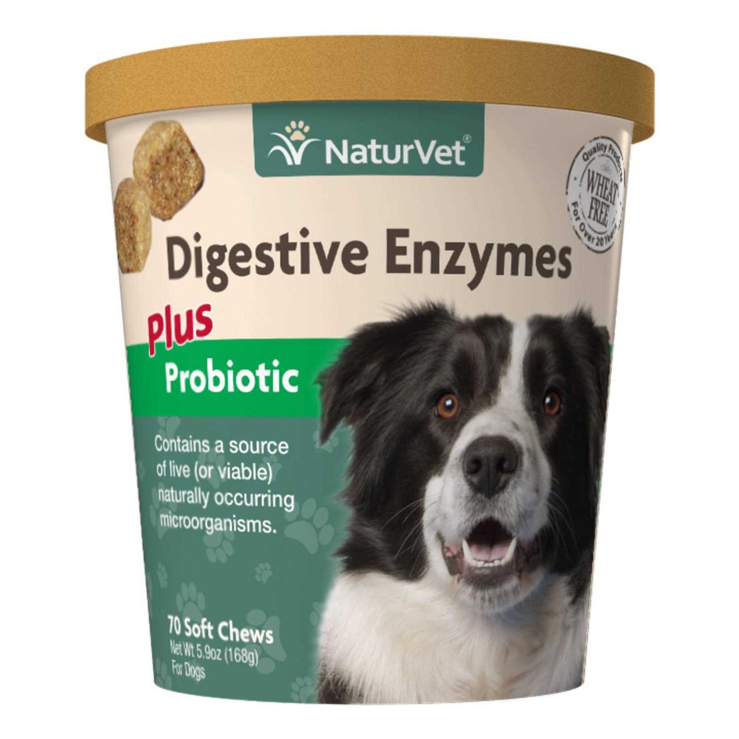Digestive Enzymes Y769087