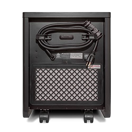 Space Heater & Air Purifier F6183