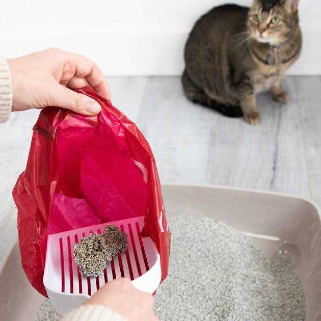 Lavender Scented Pet Waste Disposal Bags X949709