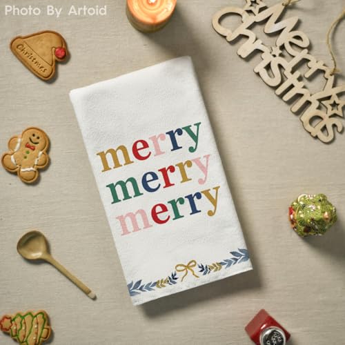 18x26 Inch Set of 4 Christmas Kitchen Towels X1395