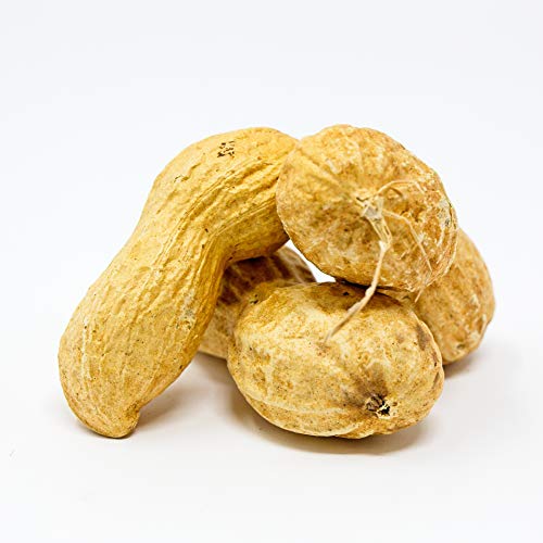 Raw Peanuts in Shell, 2.5 lb I926