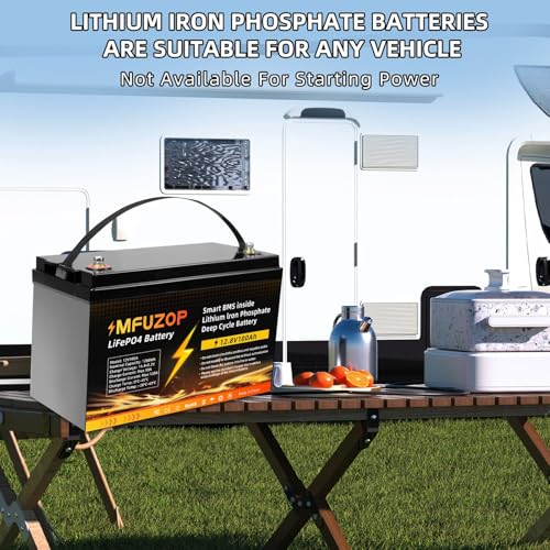12V 100Ah LiFePO4 Battery with 100A BMS P9308