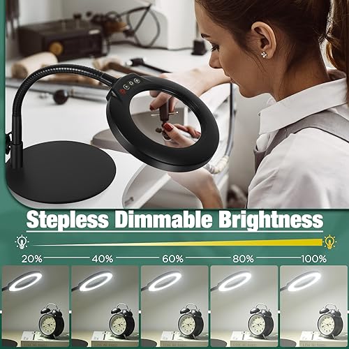 10X Magnifying Glass with Light and Stand, Flexible Gooseneck Magnifying Desk Lamp B9979