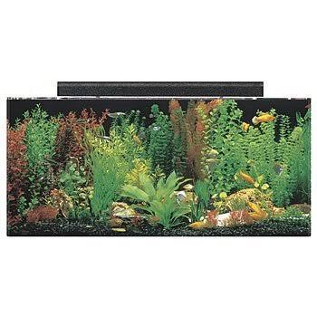 40 Gallon Black Aquarium Combo C868