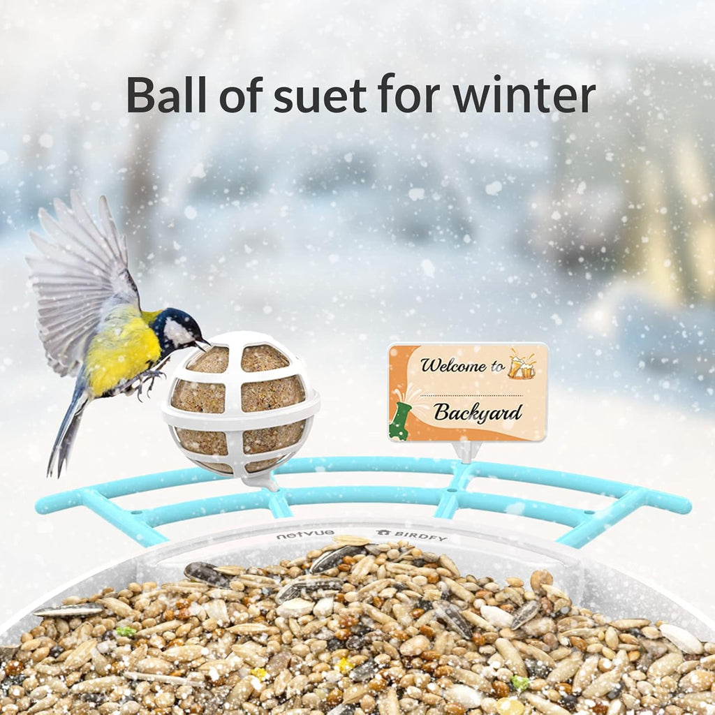 Bird Feeder with Camera K781