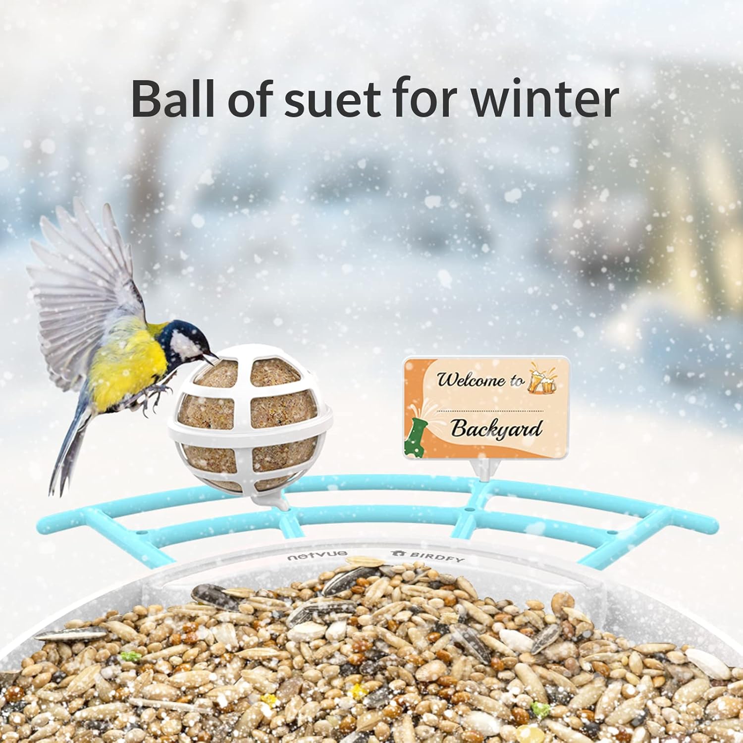 Bird Feeder with Camera K781