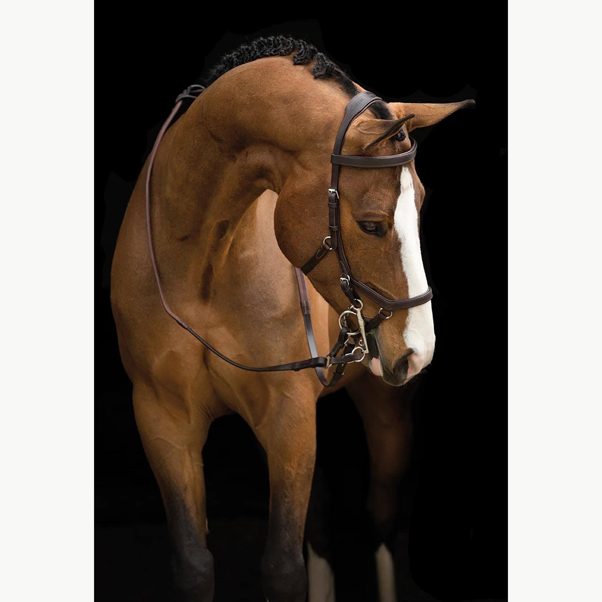 Competition Bridle X32544